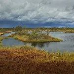 Viruna Farm مزرعة للإقامة *