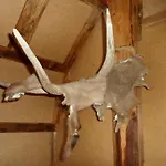 مزرعة للإقامة Viruna Farm Kiraste