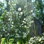 Viruna Farm * Kiraste
