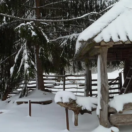 Viruna Farm * Kiraste