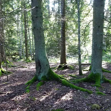 Viruna Farm Lantgård Kiraste