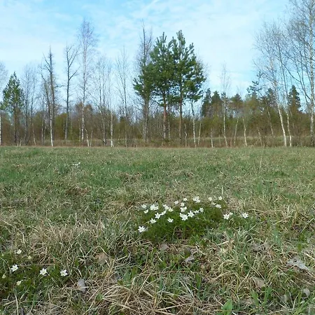 Viruna Farm مزرعة للإقامة *