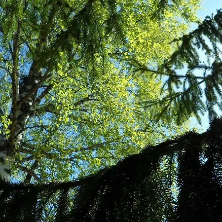 Viruna Farm Farm stay Kiraste