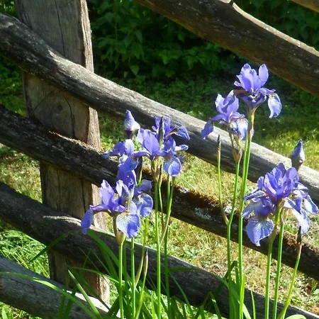 Viruna Farm *