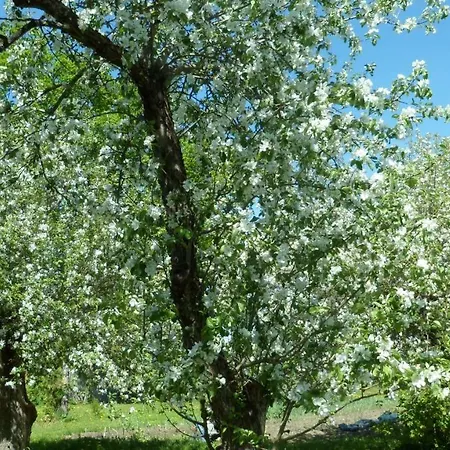 Viruna Farm