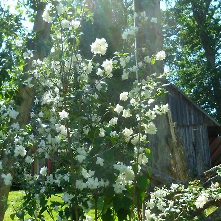 Viruna Farm * Kiraste