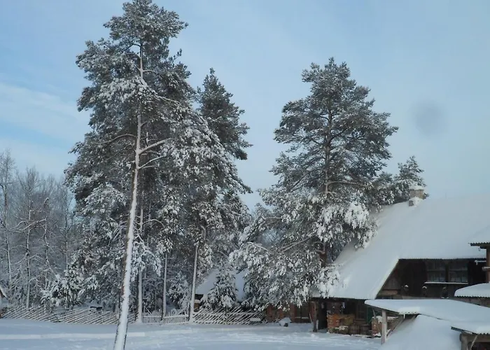 Viruna Farm Lantgård