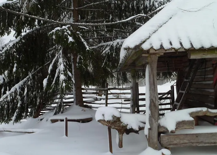 Viruna Farm * Kiraste