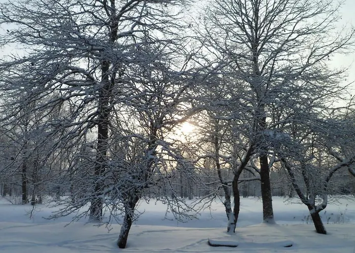 Alloggio per agriturismo Viruna Farm Kiraste