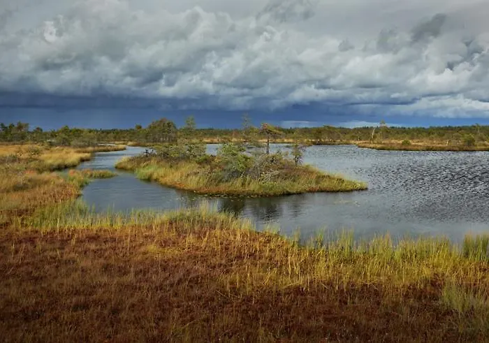 Viruna Farm Alloggio per agriturismo *