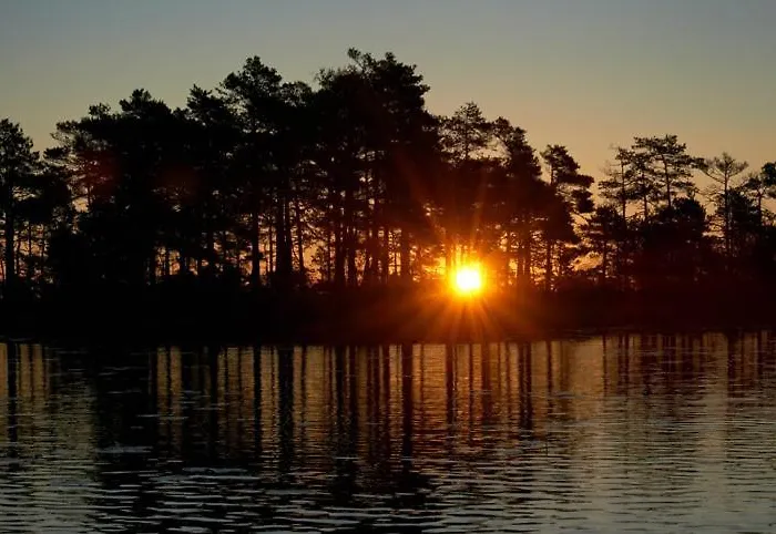 Lantgård Viruna Farm Kiraste