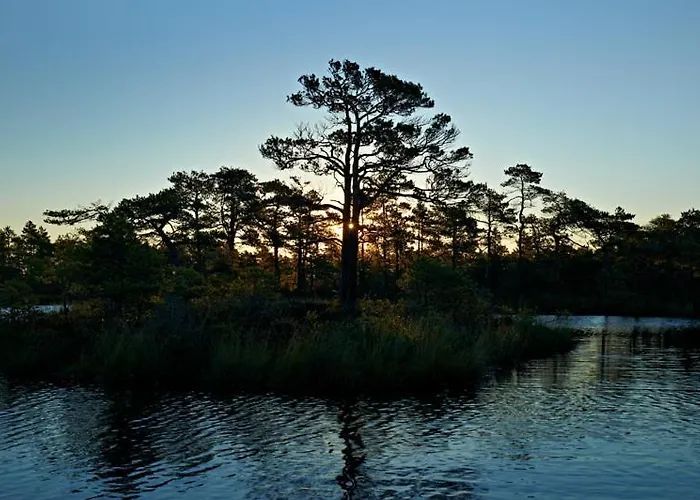 Viruna Farm * Kiraste