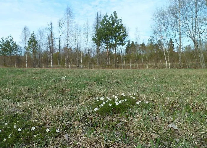 Viruna Farm Lantgård *