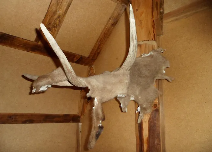 农家乐 Viruna Farm Kiraste