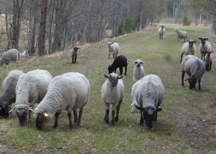 Viruna Farm Alloggio per agriturismo