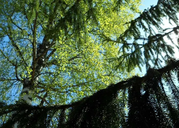 Viruna Farm Alloggio per agriturismo Kiraste