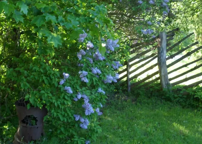 Lantgård Viruna Farm Kiraste