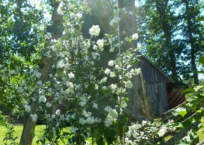 Viruna Farm * Kiraste