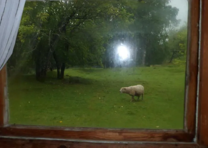 Alloggio per agriturismo Viruna Farm *