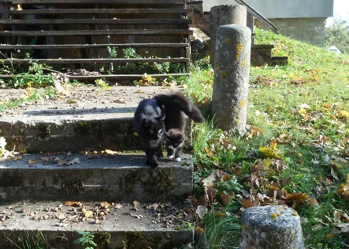 Viruna Farm Alloggio per agriturismo Kiraste